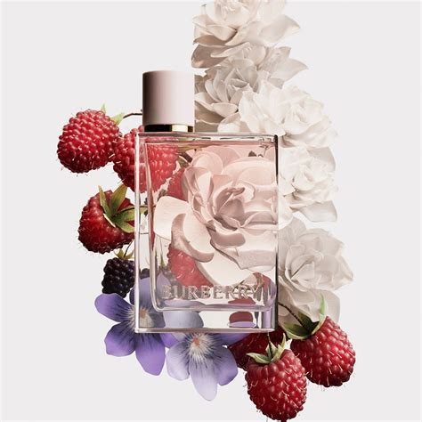 burberry dolce gabbana colab|burberry her fragrance.